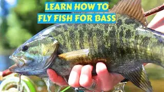 Getting Started in Bass Fly Fishing
