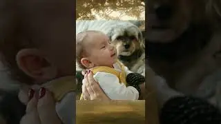 Факты о собаках которые вы точно не знали🔥🐶🐕