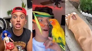 WillyTube Best Tik Tok 2020 | Ultimate Funny WillyTube TikToks
