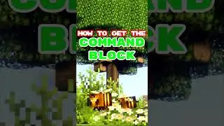 COMMAND BLOCK in MINECRAFT 