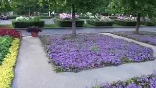 Парк Горького. Скейт парк (бесплатно), квест на свежем воздухе.