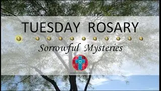 Tuesday Rosary • Sorrowful Mysteries of the Rosary 💜 Sun Filtering Through a Desert Fern Tree