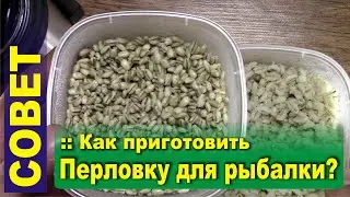 Как приготовить перловку для рыбалки