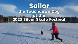 Sailor the Touchdown Dog at the 2023 Silver Skate Festival