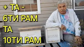 + та - 6ти рам та 10ти рам #бджільництвов6тирамвуликах