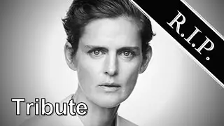 Stella Tennant ● A Simple Tribute