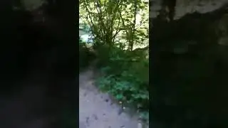 Дорога вдоль реки Курджипс. Поселок Мезмай