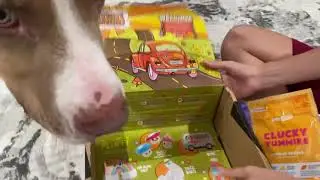 Barkbox September 2021 Opening