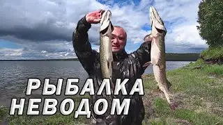 Трудовая рыбалка неводом. Щука, окунь