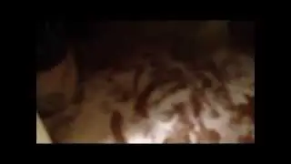 Great Dane makes a HUGE mess!