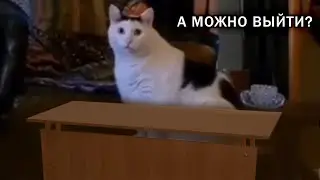 Когда пытаешься начать урок