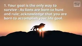 Become a Lion (morivation)