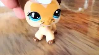 LPS "Pay Attention" MV