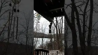 Squirrel hanging upside down to eat bird seed inside a bird feeder