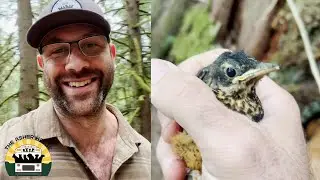 My Baby Bird Experience  | The Asher House