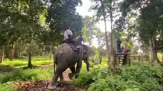 Seru naik Gajah di TWA Buluh Cina