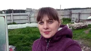 ЖИЗНЬ В ДЕРЕВНЕ. видео № 11
