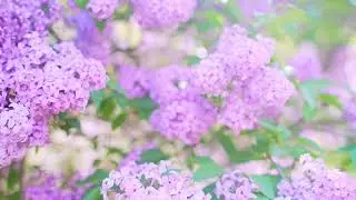 Beautiful Nature. Wonderful World.