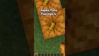 MINECRAFT 2 MOST UNQUIE FACT THAT YOU DID KNOW #minecraftshorts