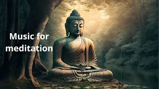 Calm music for meditating like a Buddha near a small lake in a quiet forest