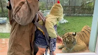 Lembang Park and Zoo Bandung saat Arka 1 tahun