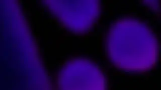 VS Battle Cats (Canned) OST - Shrivelled