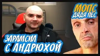 МОПС РАМСИТ С АНДРЮХОЙ ЗА ЛУК