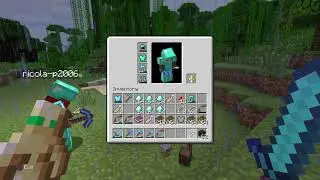 Minecraft seconda parte ritorno a casa