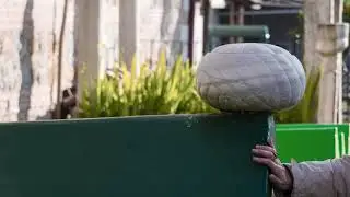 Tecelli Şevk-i Didârın Beni Mest Eyledi Hayrân