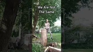 Slamming Wood and Spitting Facts 
