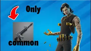I Used Only Common Guns | Fortnite |