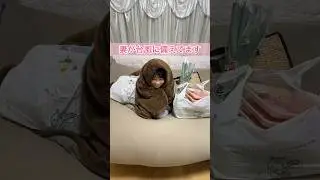 妻が台風に備えてます