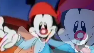 Animaniacs but the camera follows Wakko's face