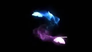 Butterfly overlays for Alightmotion editing tools