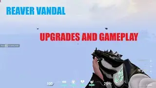 Reaver Vandal - Modifications and Gameplay | Valorant