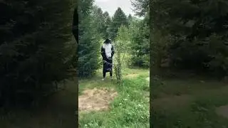 Бомжара 