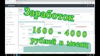 Заработок от 3000 рублей без усилий (майнинг на своем пк)