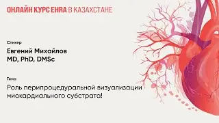 Роль перипроцедуральной визуализации миокардиального субстрата. Евгений Михайлов