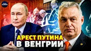 Gotcha! PUTIN'S ARREST in Hungary! Trump's plan in all its glory: Putin lured to the West