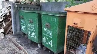 Дядя Вова - Ты дурак ?