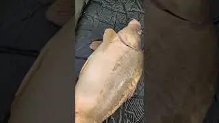 НА ПОПЛАВОК В КОРЯЖНИКЕ, скоро полное видео 💯👍🏻