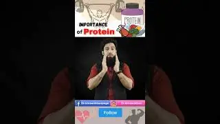 Importance Of 𝗣𝗿𝗼𝘁𝗲𝗶𝗻 🍗🧆 | 