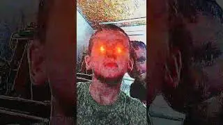 5 ноября 2023 г.