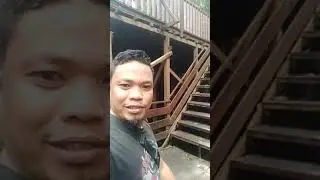 Labuan Cermin - (Kalimantan Timur)