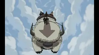 Appa Entry