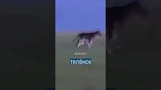 29 июля 2023 г.