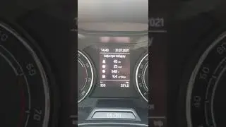 Шкода Скала после поездки