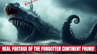 The Day We Discovered The Forgotten Continent