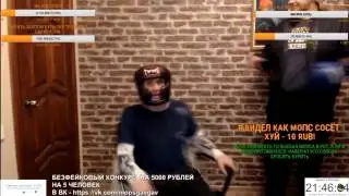 Мопс потерялся . Лось с раскруткой на стуле .