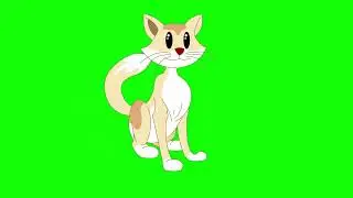 Green Screen | Alexa Green Screen |